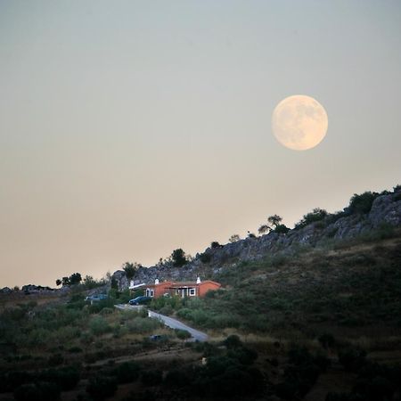 Cortijo Nuevo Alojamiento Rural Cuevas del Becerro Bagian luar foto