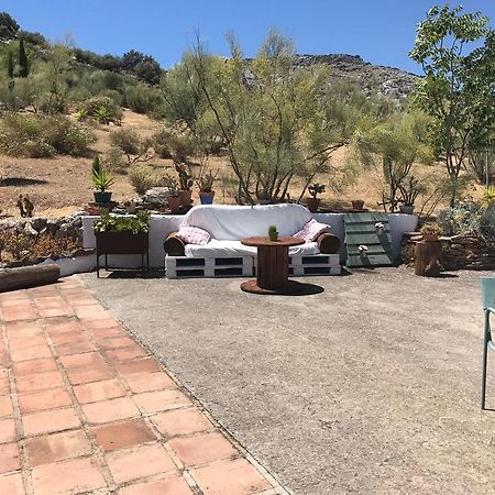 Cortijo Nuevo Alojamiento Rural Cuevas del Becerro Bagian luar foto