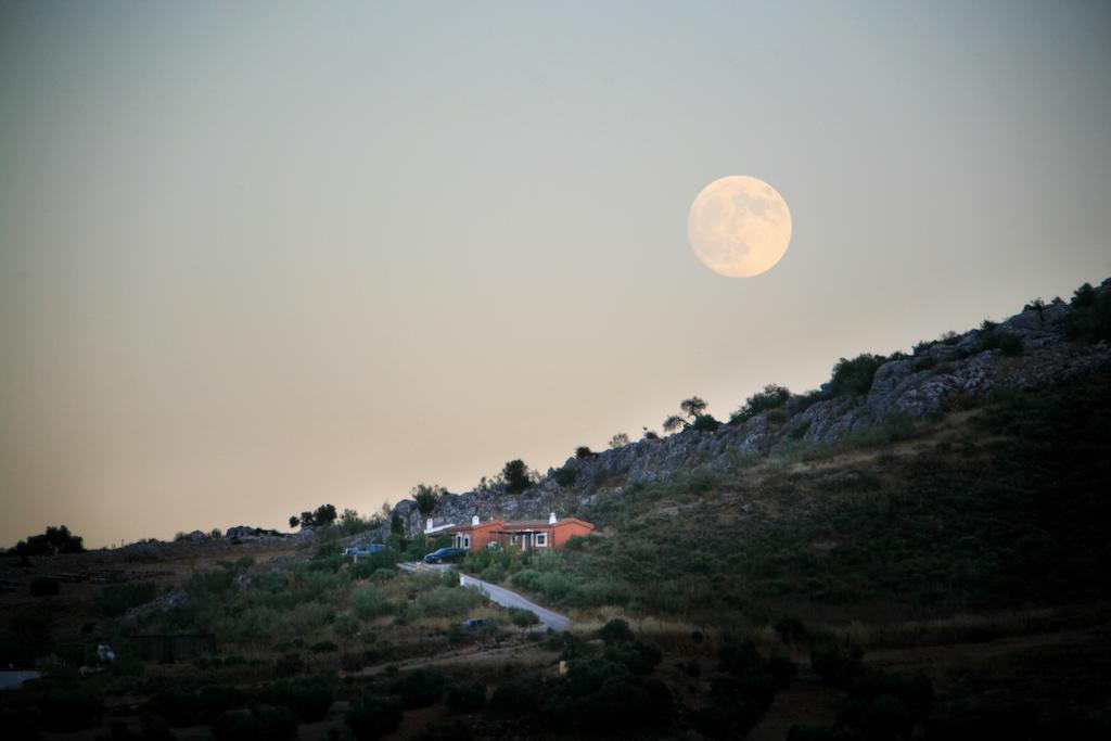 Cortijo Nuevo Alojamiento Rural Cuevas del Becerro Bagian luar foto